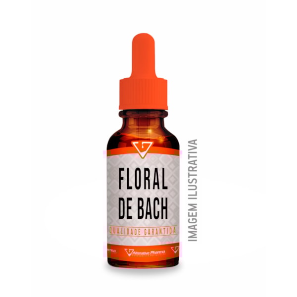 Floral de Bach Momento da Adolescência 30ml-91a9841e-4a37-423e-8ec2-8a76ba39f783