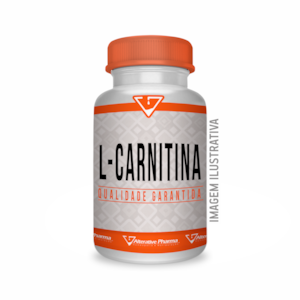 L Carnitina 500mg