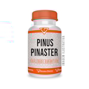 Pinus Pinaster 50mg
